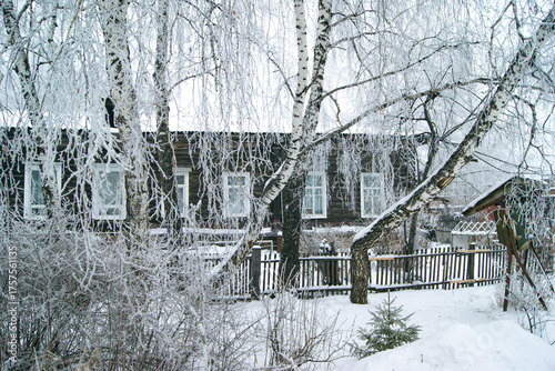 Принти на полотні A traditional wooden house, a picket fence and a snowy yard with frost-covered birch trees in Siberia