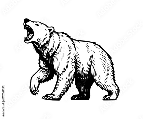 Wallpaper Mural Roaring polar bear illustration. wild animal. Torontodigital.ca