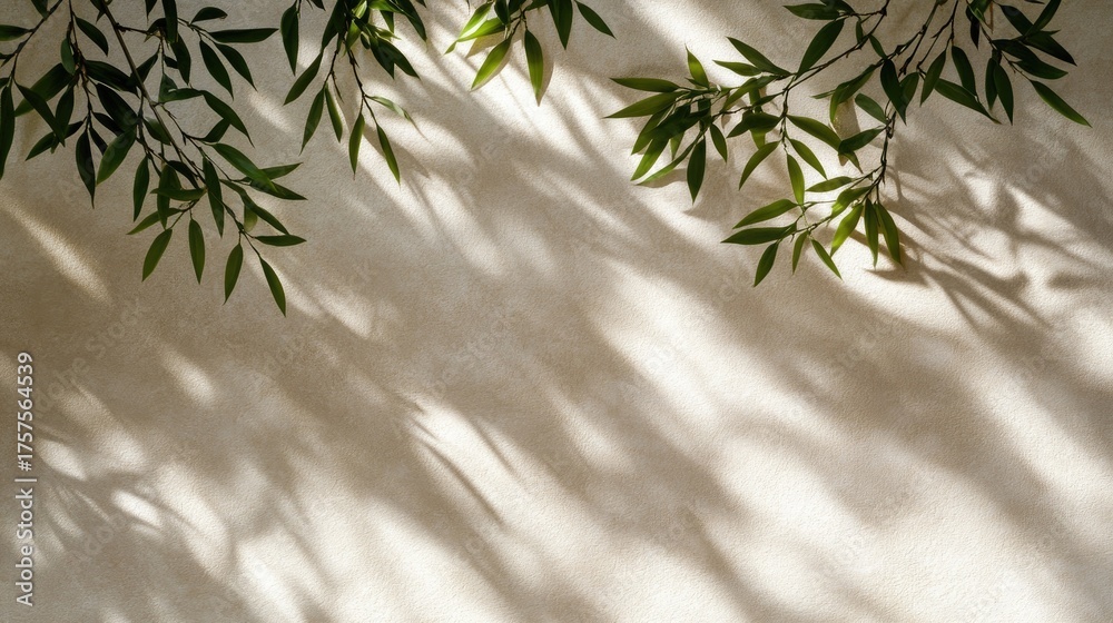 Fototapeta premium Bamboo leaves cast intricate shadows on an off-white wall, revealing delicate patterns enhanced by sunlight, creating a serene and organic atmosphere
