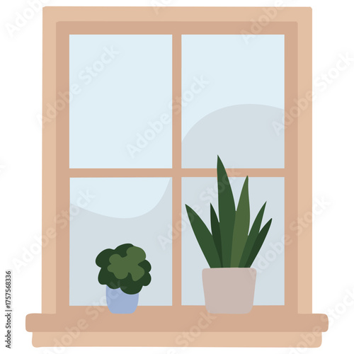  House plants in pots standing on a sunny window sill