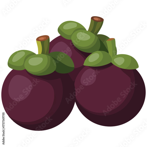 Mangosteen fruit vector icon for healthy superfood