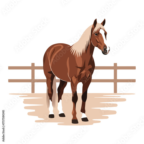 Brown Horse in Paddock, Equestrian Illustration, White Background