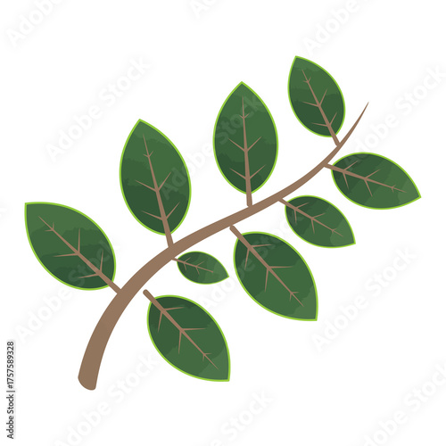 A minimalist modern vector icon branch of a mangosteen leaf, using deep green, muted brown, and lime hues, isolated on a solid white background.