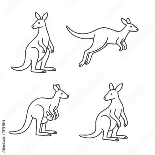 Four kangaroo outlines, each in different poses, depicted in black line art. One is standing upright, another is hopping, the third carries a joey in its pouch, and the last sits on its haunches. The 