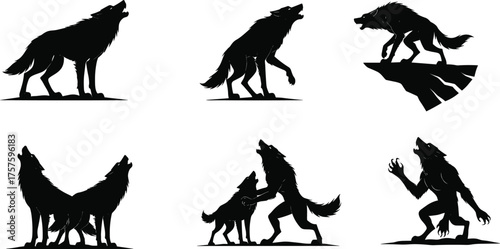 Wolf silhouettes, howling wolves, animal interaction, wild nature, rocky cliff, aggressive stance, forest wildlife, vector design, predator behavior, isolated background