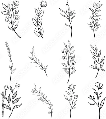 Vector set of fine line flowers. Doodle ornamental floral elements, nature botanical leaves and branches