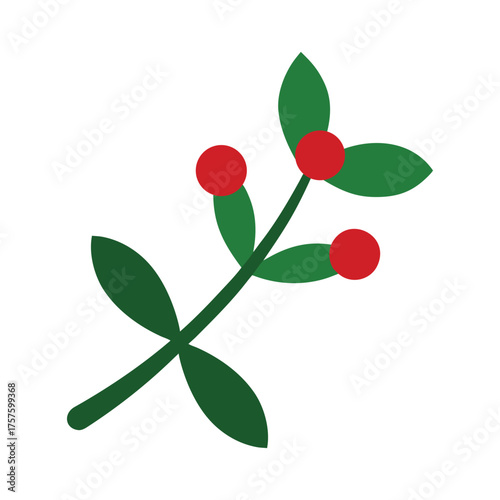 Simple mistletoe branch with red berries and green leaves festive holiday decor element