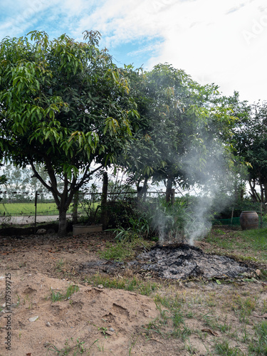 Burnt Leaves and Smoke in Rural Backyard Garden.
