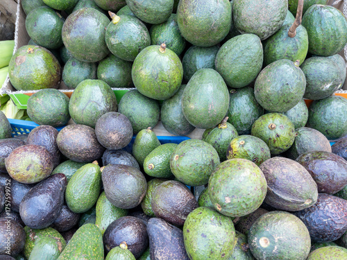 Fresh Organic Avocados from Local Farm Market.
