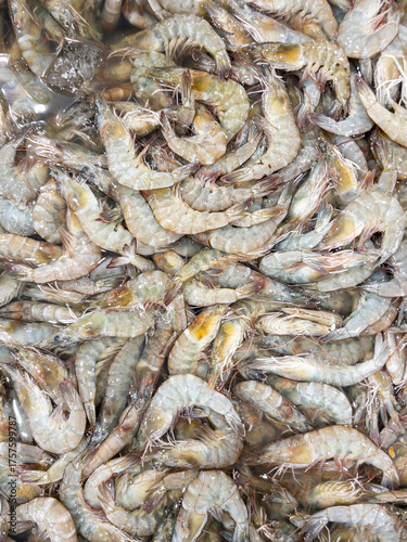 Fresh Shrimp Displayed for Sale at Seafood Market.