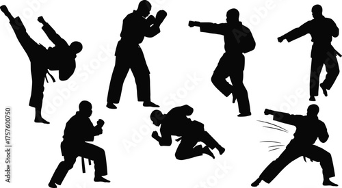 Silhouette illustration of martial artists performing different fighting poses, karate kicks and punches, self defense, combat sports training, strength and discipline, vector art