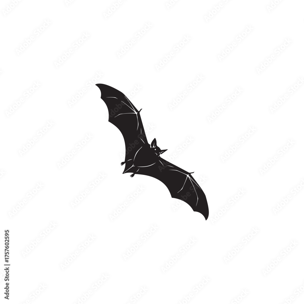 Fototapeta premium A black bat silhouette flying
