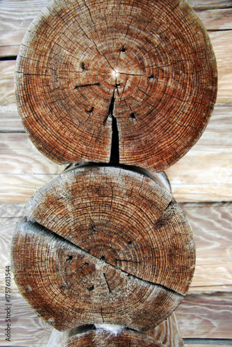 Cut of two logs in the structure of a wooden house in a Russian village