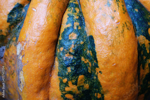 Close-up of a pumpkin's skin, showing irregular green and orange patterns.