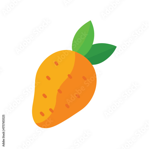 Sweet Potato Root Vegetable Illustration Vector