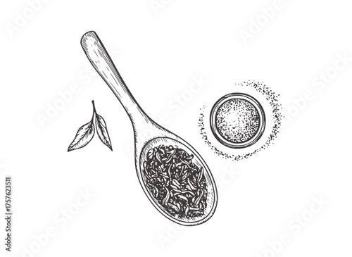 Black and white hand drawn illustration of tea leaves and spoon vector