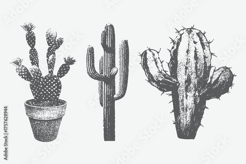 Different cactuses with monochrome vintage photocopy effect, y2k collage design. halftone stipple design elements. Vector drawing for a weird, grunge, punk poster