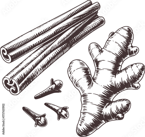 Cinnamon sticks cloves ginger root illustration spice ingredient