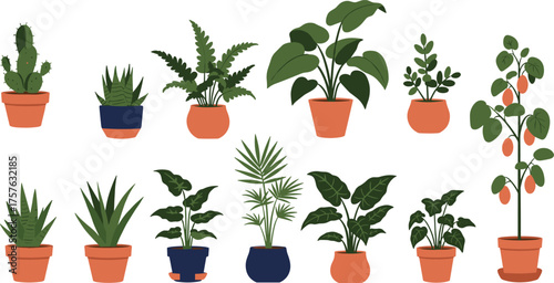 Potted houseplants, fruit-bearing foliage, spiky leaves, colorful pots, indoor greenery, cozy decor, botanical illustration, plant variety, decorative design