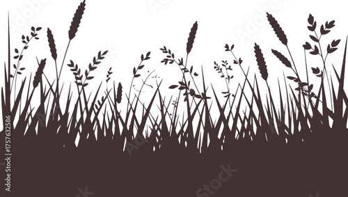 Dark grass and wheat stalks silhouette against white dark brown