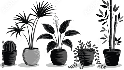 Indoor potted plants, cactus, palm, peace lily, trailing vines, bamboo, decorative pots, foliage variety, cozy decor, botanical illustration
