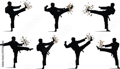 Martial arts board break silhouette, karate kick shattering wood, powerful taekwondo demonstration, breaking technique, strength and precision combat sport.
