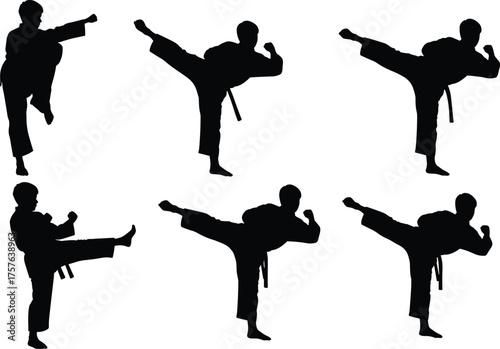 Martial arts athlete silhouette, karate side kick action poses, taekwondo high kick training sequence, combat sport, dynamic fighting technique illustration.
