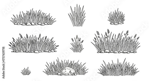 Collection of Hand-Drawn Grass Clumps and Wild Meadow Bushes, Artistic Botanical Sketches for Nature-Themed Designs and Garden Landscapes
