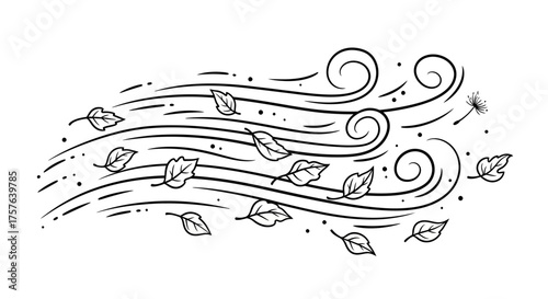 Dynamic vector illustration depicting a powerful gust of wind sweeping fallen autumn leaves and delicate dandelion seeds, capturing the essence of a breezy day
