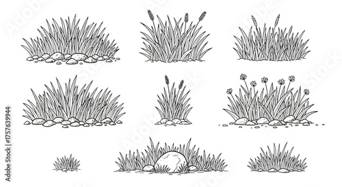 Artistic set of hand-drawn wild grass clumps, diverse reed illustrations, and natural foliage elements with stones, perfect for organic and ecological design projects