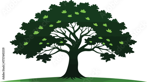 Vibrant green tree with spreading branches and lush foliage on a white background