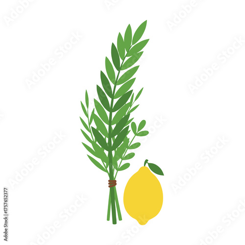 A palm frond, willow and myrtle foliage, and a bright yellow etrog—components of the four species used in the Jewish Sukkot festival, the lulav and esrog
