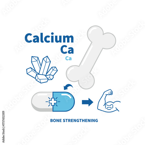 A realistic 3‑D white bone with calcium, featuring a glossy drop‑pill capsule, represents a dietary supplement for bone health and enhances calcium’s strengthening effect