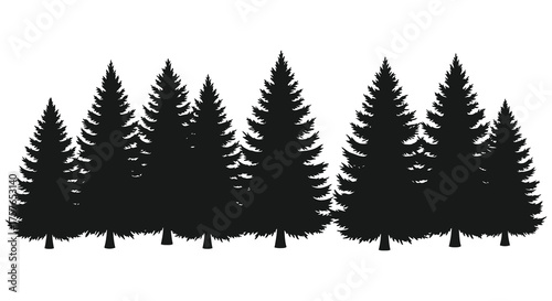 A dense forest of evergreen pine trees shown in a striking black silhouette against a white background