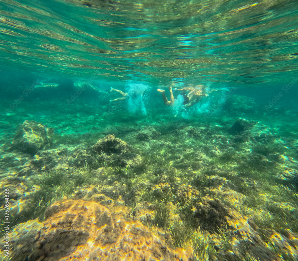 Obraz premium The new Tabarca island opposite Santa Pola Alicante province Spain the marine reserve underwater view