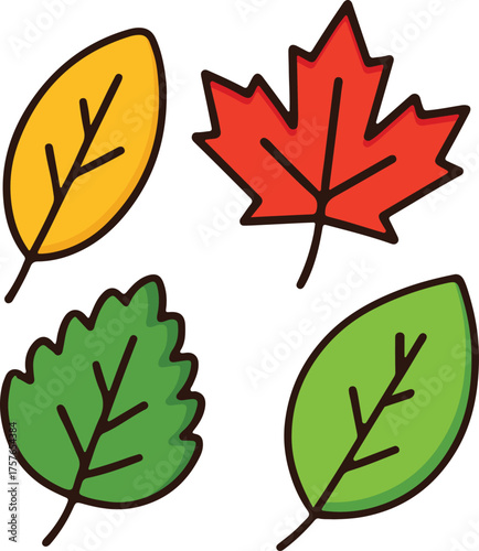 Colorful Leaves Vector Illustration Maple, Oak, and Stylized Foliage