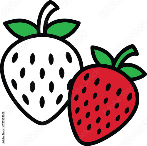Adobe Illustrator Artwork