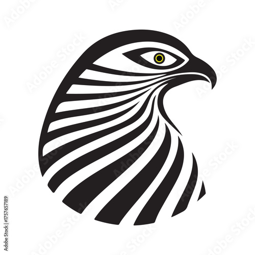 black and white eagle bird vector illustration design eagle bird vector illustration design animal wildlife black white symbol nature freedom hawk flying art silhouette logo wing
