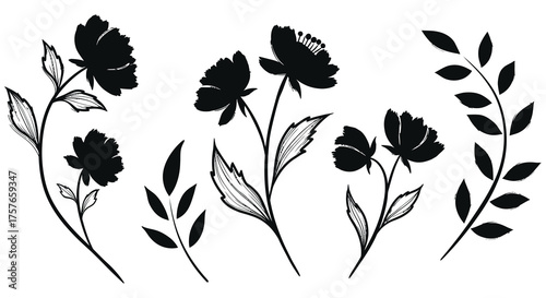 Elegant black silhouette floral elements with delicate leaves and blooming flowers on a white background silhouette
