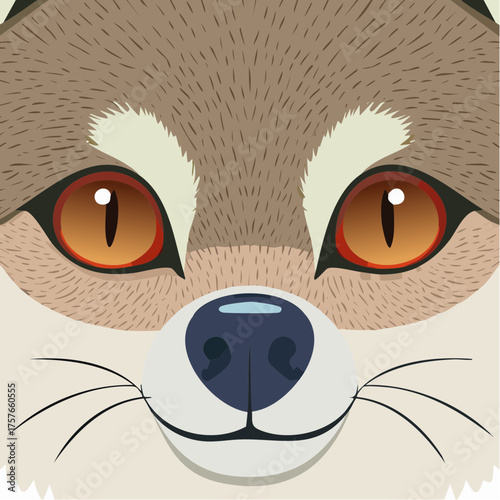 Fox face portrait with transparent background