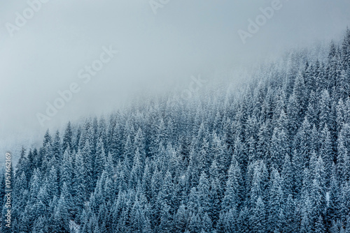 Winter mountain landscape near Almaty, Kazakhstan