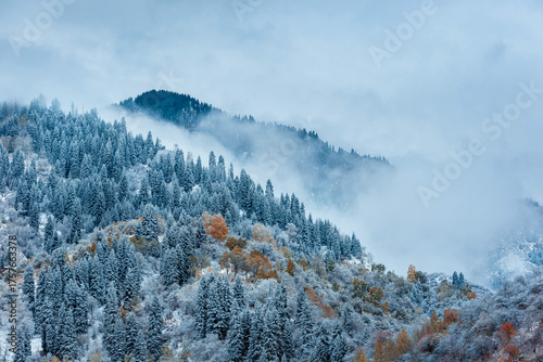 Winter mountain landscape with fog near Almaty, Kazakhstan