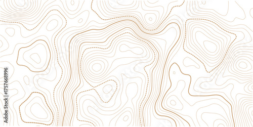 Black and white lines seamless Topographic map patterns. Vintage outdoors style. The stylized height of the topographic map contour in lines and contours isolated on transparent.