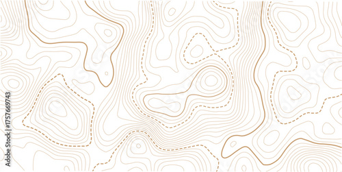 topographic line contour map background, geographic grid map, stock vector illustration. white background topo.