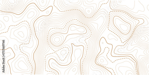 topographic line contour map background, geographic grid map, stock vector illustration. white background topo.