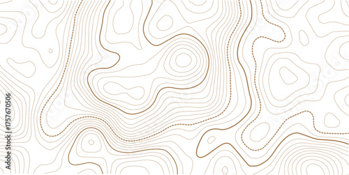 Topographic map background. Geographic line map with elevation assignments. Contour background geographic grid.