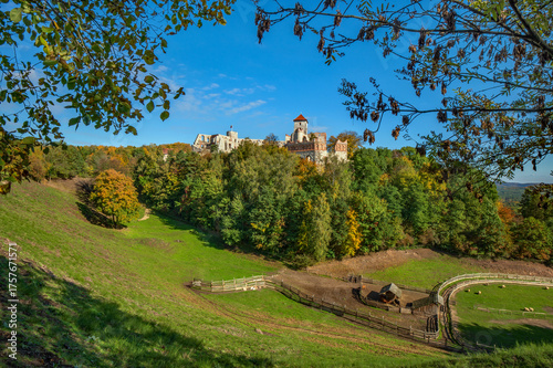 Zamek Tenczyn