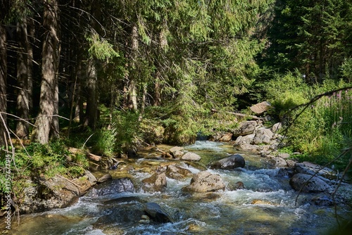 The Jiet River flowing swiftly among large rocks and fir trees in a mountain forest in Romania