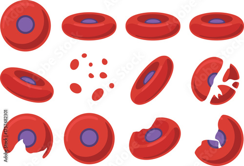Red blood cells, healthy and damaged, medical illustration, hematology, cell morphology, anemia, pathology, diagnostic, microscopic view, biology