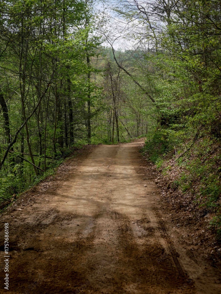 Fototapeta premium Forested Dirt road in Hatfield Mccoy trail system in West Virginia in springtime